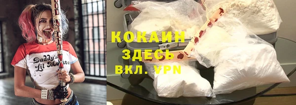гашик Богородск