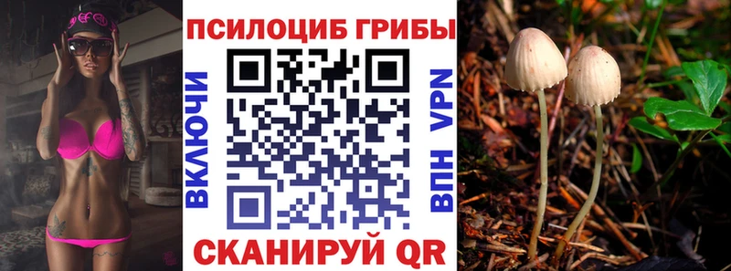 Галлюциногенные грибы MAGIC MUSHROOMS Лянтор